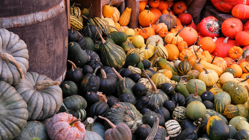 Tyntesfield's Autumn Harvest Display in the Orangery (2024)